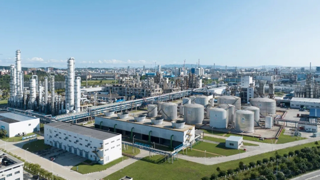 1736126561601.jpg 1736126561601.jpg